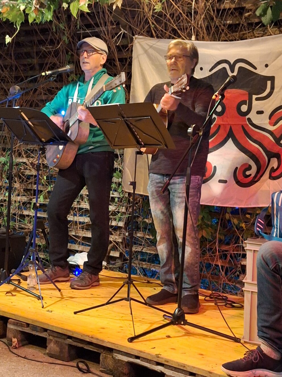 Irischer Folk, Songs und Balladen